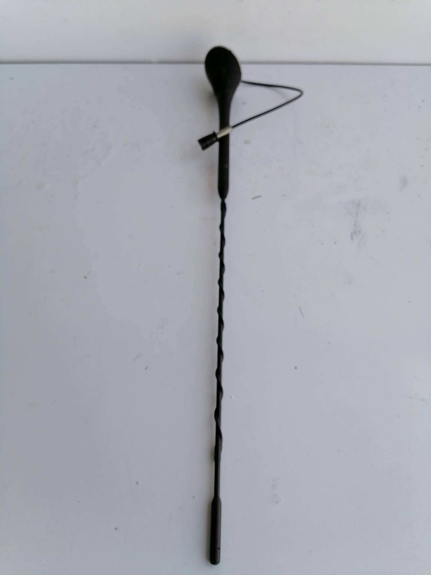 Antenna autoradio